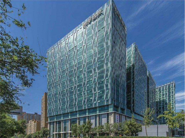 广东正规狗罐头加工工厂